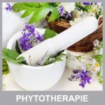 phytotherapie_neu
