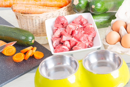 54602161 - natural, organic dog's food with ingredients zucchini, carrot and raw meat