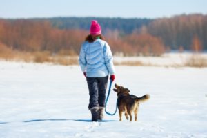 23435387 - young woman with her dog walking on the snowy field