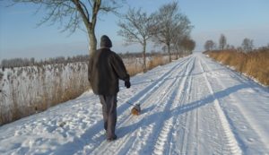 46313109 - man walks with dog in snow