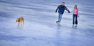 5675496 - couple skating on a frozen lake